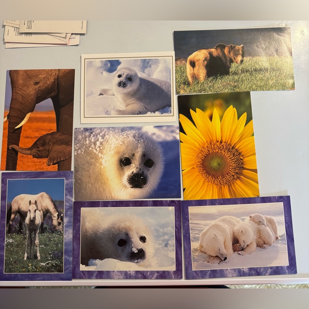 2 for $30 Vintage Animal & Nature Note Card Bundle - 20+ Unused Cards